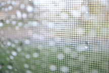 Raindrops on a window screen.