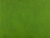green leather texture 