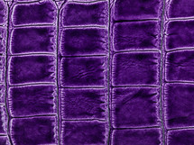 synthetic leather, purple background