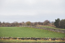 stone wall fence in Yorkshire, England 