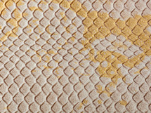 Abstract texture of synthetic leather, background, snake skin 