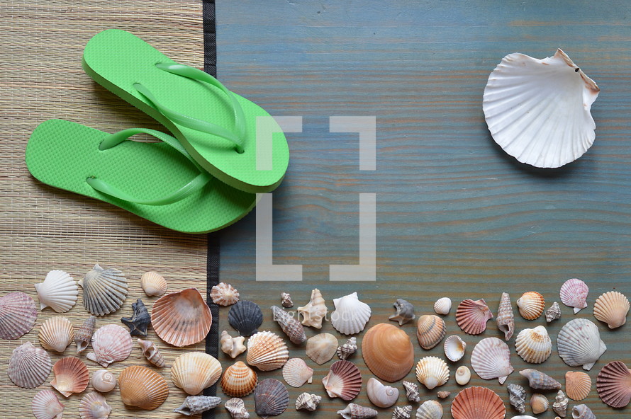variety of seashells with sandals on cyan wooden plank