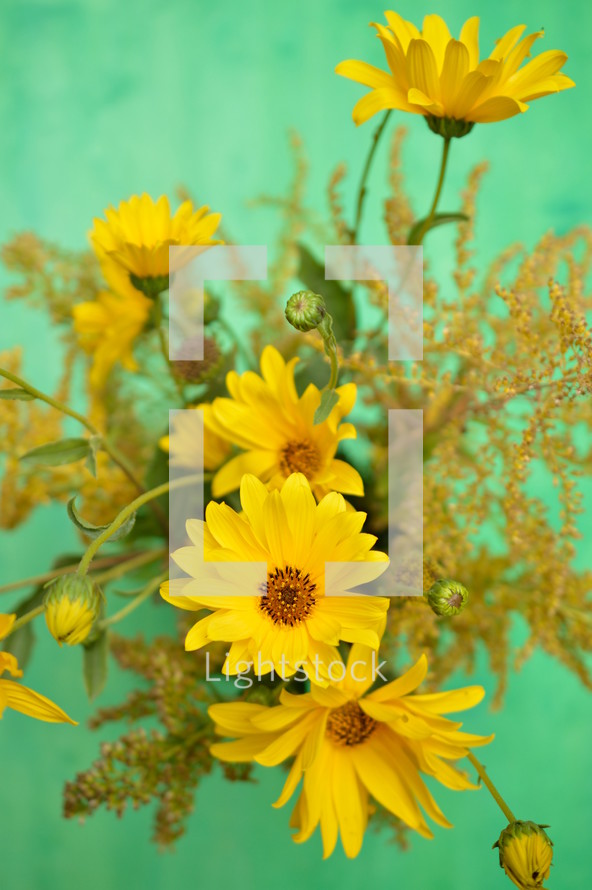 yellow flowers on a green background 