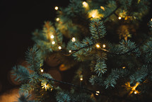 Christmas tree at night 