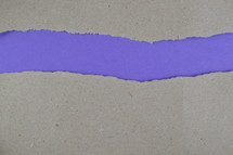 purple under gray torn paper 
