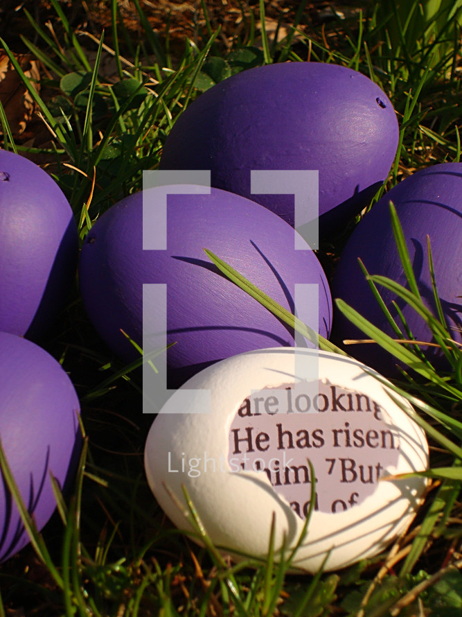 A white eggshell with a piece of the bible inside saying: HE HAS RISEN! between purple eggs in the grass.