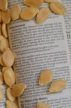 seeds on the pages of a Bible 