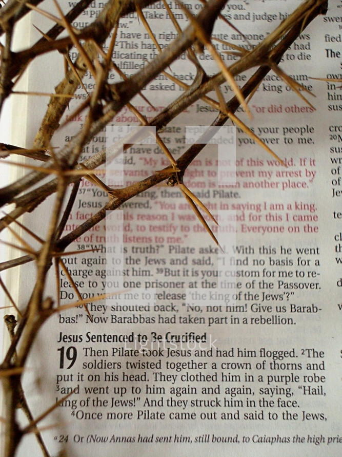 Bible passage with the crown of thorns (John 19:2)