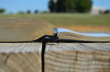 open Bible on a picnic table 
