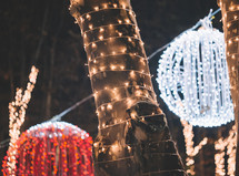 Illuminated tree at Christmas