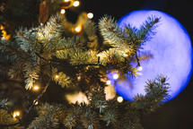 Christmas tree illuminations at nigh close-up