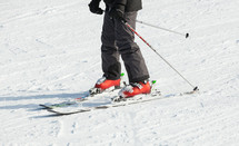 skiing in winter 