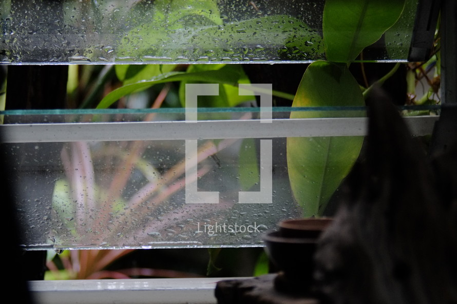 Raindrops on window with nature leaves background