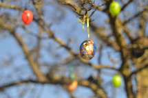 Easter eggs hanging on tree branches on an Easter egg tree 