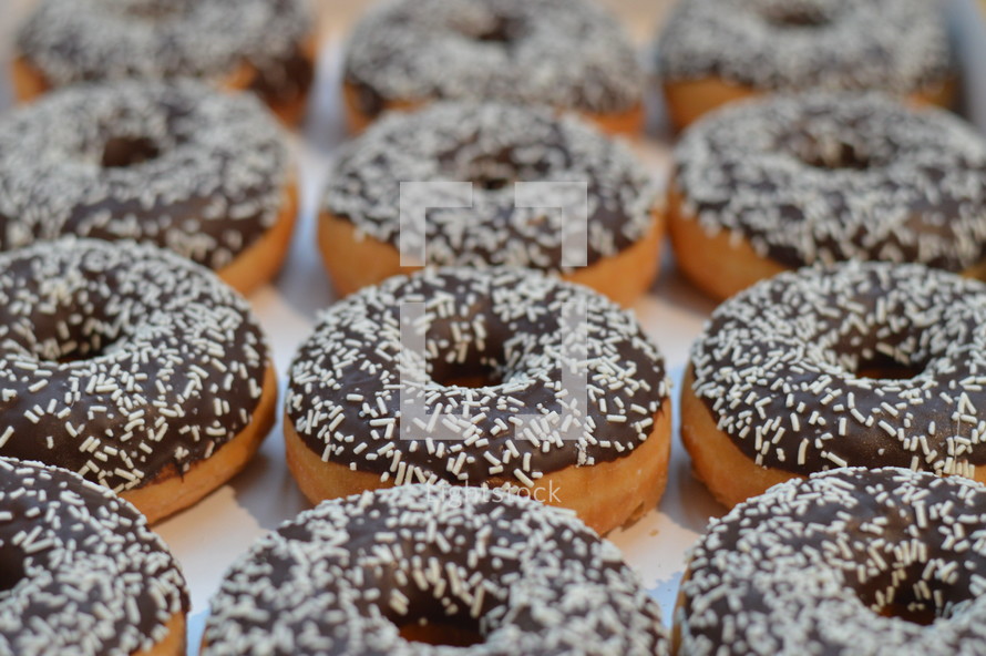 Chocolate covered donuts with white sprinkles.