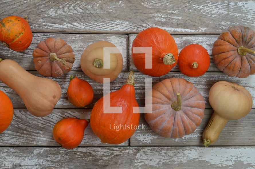 gourds and pumpkins on gray wood background 