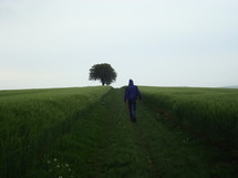 a man walking on a worn path through tall grass 