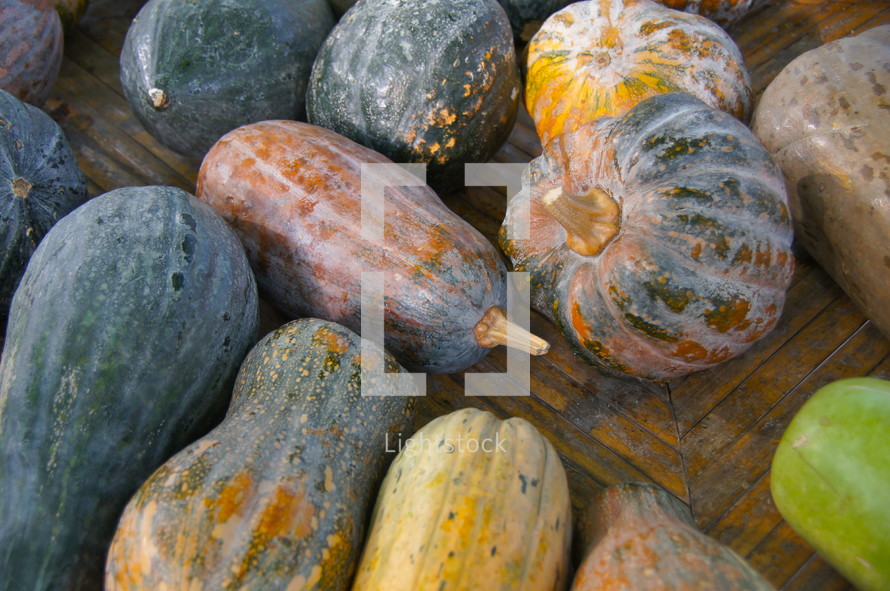 table - squash. Autumn, season, harvest, crop, food, seed, orange, pumpkins.