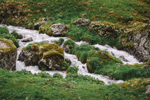 Stream in the spring mountains