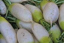 Fresh turnips at morning Market 
