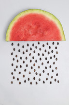 Abstract Watermelon Slice With Seeds Raining
