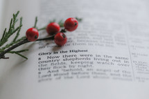 Glory in the Highest, New there were in the same country shepherds living out in the fields - Christmas scripture 