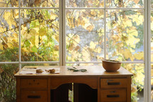 collection of nature items on a desk in front of a window 