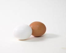 eggs on a white background 