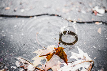 water droplet splash in a puddle 
