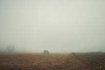 shed on foggy farmland 