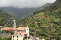 terraced slopes in front of Italian villas 