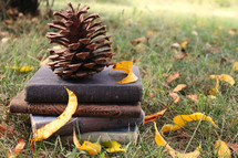 pine cone on a stack of books in the grass