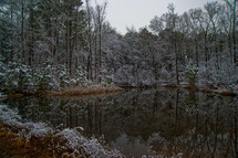 Pond in winter, Piedmont of North Carolina
