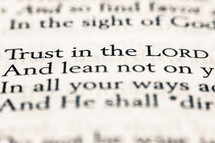 Proverbs 3:5-6 
Trust in the Lord with all your heart,
And lean not on your own understanding;
In all your ways acknowledge Him,
And He shall direct your paths.