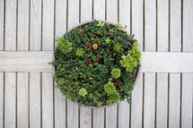 plant centerpiece on a wooden patio table 