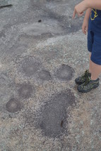 boy standing next to spots on a rock surface 