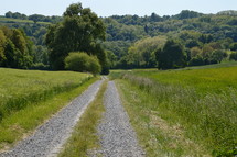 pebbly cartway leading downhill through a undulating countryside, 
cartway, hill, field, landscape, hills, downhill, country, countryside, tree, trees, grass, spring, green, sky, acre, acreage, farmland, farming, land, cultivation, growing, agricultural landscape, way, walking, hiking, walk, hike, go, going, cart track, country lane, farm lane, farm road, path, street, road, pebbly, stony, rocky, move, on the go, on the move, under way, travel, undulating, hilly, rolling, hillocked, bend, curve, turn, bending, curving