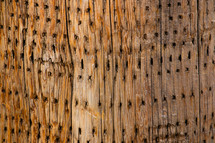 holes in wood 