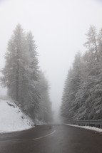 fog, snow, road, outdoors, trees, winter 