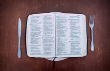 a Bible on a dinner plate 