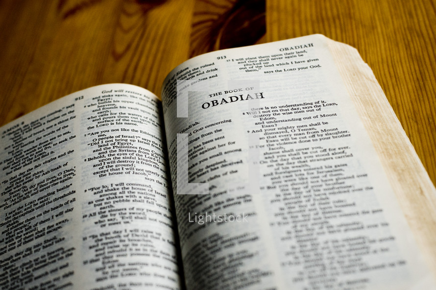 Open Bible in book of Obadiah