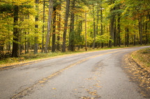 road in fall 