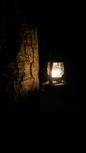 lantern and tree trunk 