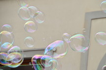 bubbles 