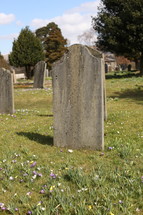 Headstones in green grass.