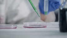 Medical cannabis drop falling into petri dish in a laboratory