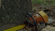 lumberjack with a chainsaw 