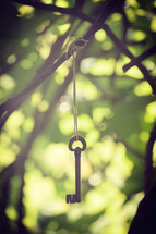 Ancient wrought iron key hanging between branches. Mysterious and metaphorical concept