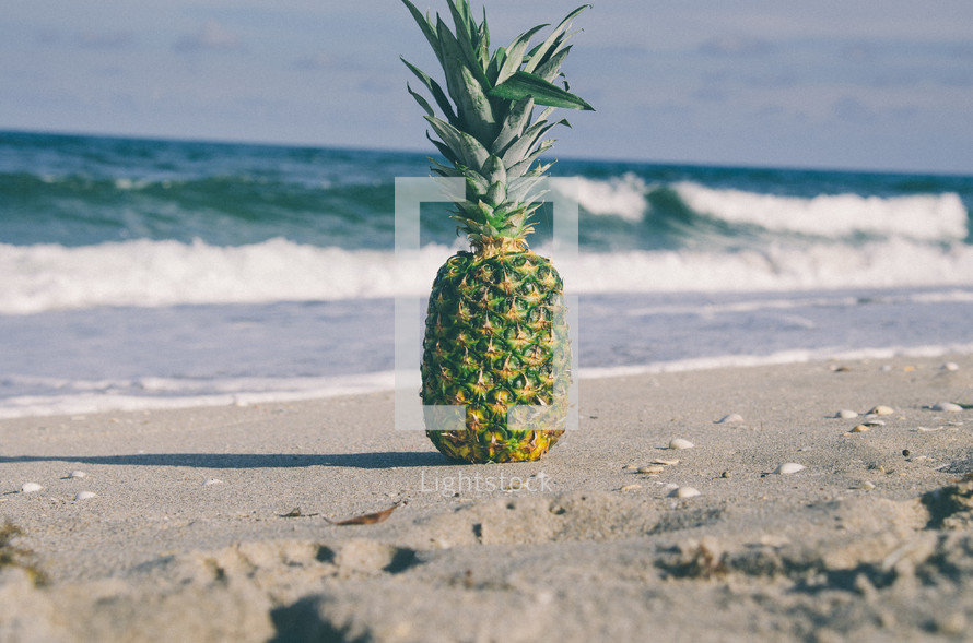pineapple on a beach 