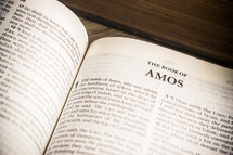 The Book of Amos 